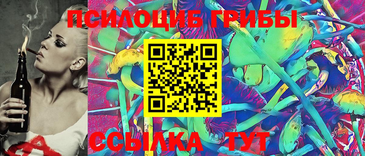 Галлюциногенные грибы прущие грибы Кохма