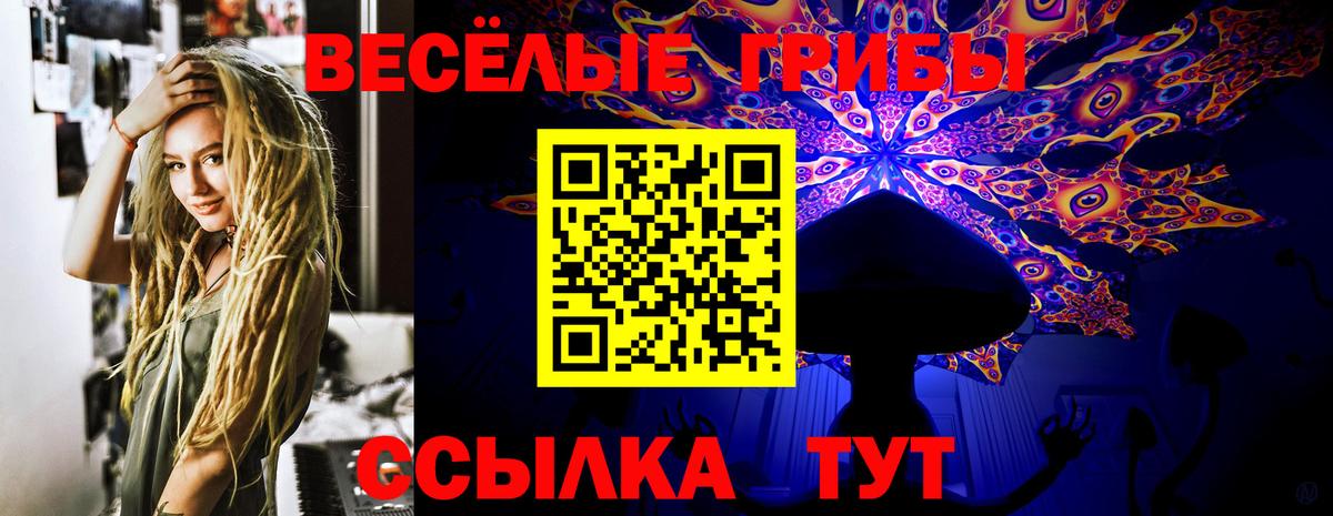 купить   Вход с VPN  Кохма  Галлюциногенные грибы Cubensis  Галлюциногенные грибы ЛСД 